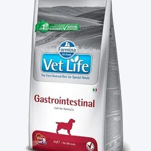 VET LIFE Gastrointestinal Dry Dog food